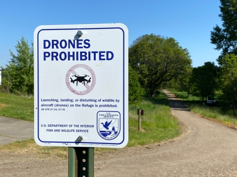 Image of a white sign with blue text explaining that operating drones at the refuge is prohibited. A gravel trail and trees surround the sign.