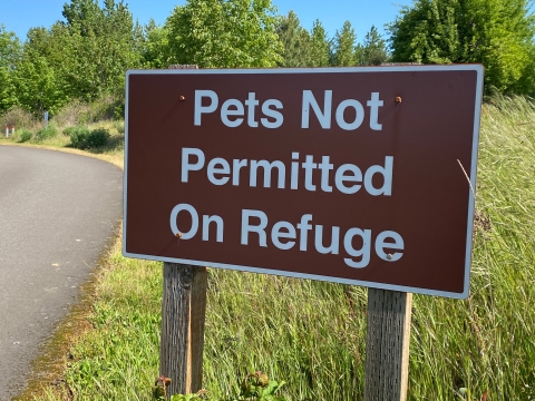 Image of a brown sign with white letters indicating pets are prohibited at the refuge. The sign is surrounded by green grass and trees.