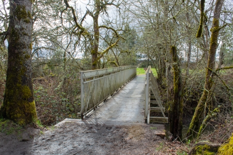 Image of a gray metal footbridge elevated over a creek with several leafless trees on either side.