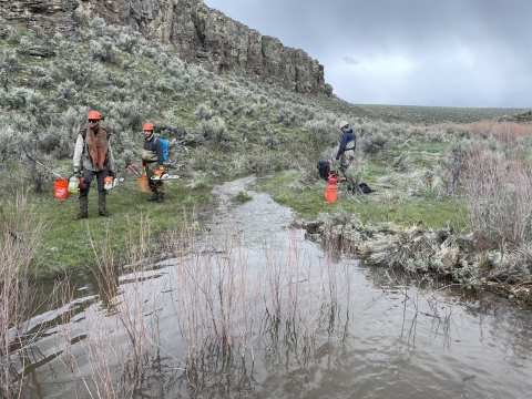 A stream is in the center of the frame and a rock outcrop is seen in the upper left side of the frame. There are three people in the photo; two people are on the left side and one person is on the right side of the stream. 