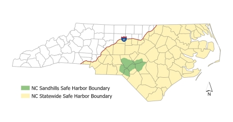 Map of the state of North Carolina showing the statewide red-cockaded woodpecker Safe Harbor boundary in yellow stretching from I-85 east to the coast, and the Sandhills Safe Harbor boundary in a green polygon in south-central NC.