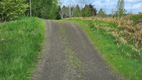 Image of a wide and somewhat steep short section of trail with gray crushed gravel and green grass on either side.