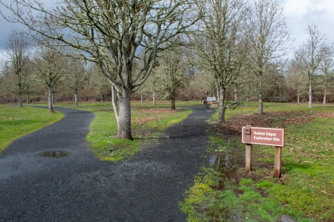 Image of a dark gray gravel trail that splits into to sections with green grass and leafless trees and a brown sign surrounding the trail.