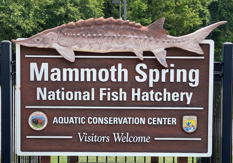 Mammoth Spring National Fish Hatchery Welcome Sign