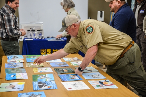 TN Jr. Duck Stamp