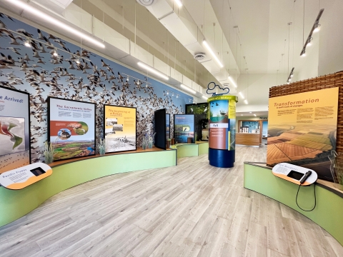 Visitor Center Interior at Sacramento National Wildlife Refuge