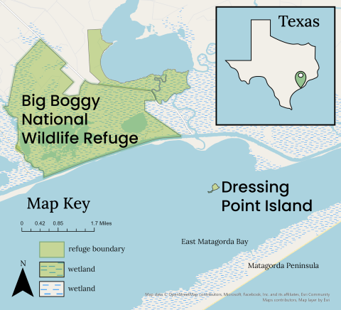 A map showing Dressing Point Island, found in East Matagorda Bay on the Texas coast. There is an icon of Texas in the top right corner of the map with a pin indicating where Dressing Point is located.