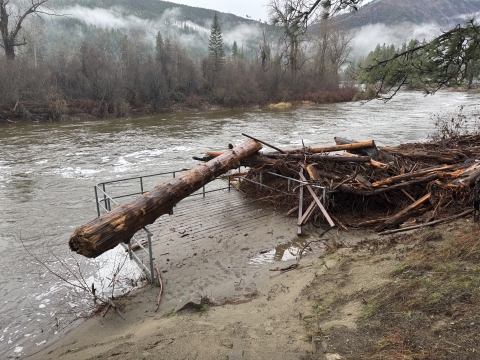 a large log lays across the metal bars of the ada fishing platform with a large pile of woody debris piled up against it and icicle creek in the background
