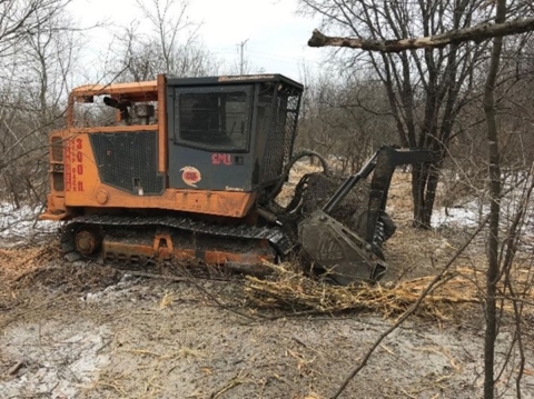 Bulldozer conducting forestry mowing to remove invasive buckthorn at Greenbelt Forest Preserve
