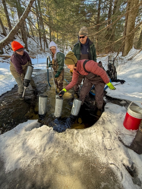 Atlantic salmon egg planting crew standing in a stream simulating spawning by Atlantic salmon on the west branch of the Sheepscot River in mid-coast Maine