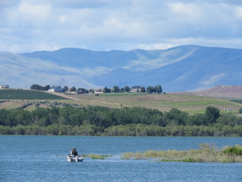 Anglers sit with fishing poles in a motor boat near aquatic vegetation with nearby hills and mountains visible behind.