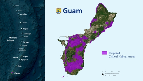A map highlighting the proposed areas for critical habitat on Guam
