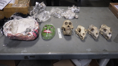 A green ceramic mask of a human face sits beside three animal skulls on a metal table next to an opened package