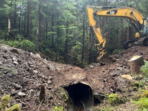 A backhoe removing a degraded culvert from the Jons Creek near Klawock, Alaska on Prince of Wales Island.