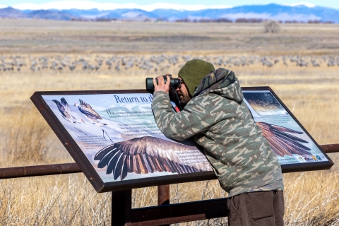 A man leans on an interpretive panel while holding binoculars to his face. 