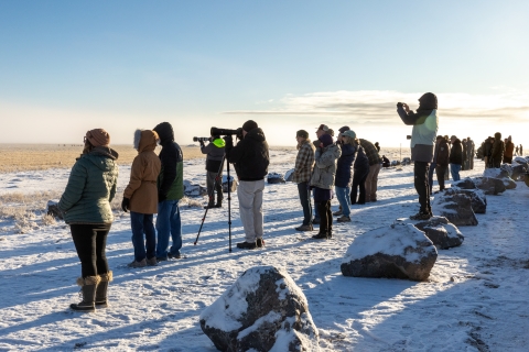 A large group of people stand in the snow along a fence line, some are using cameras or binoculars. 
