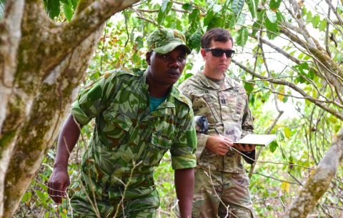 2 men in fatigues, one with clipboard, move through forest