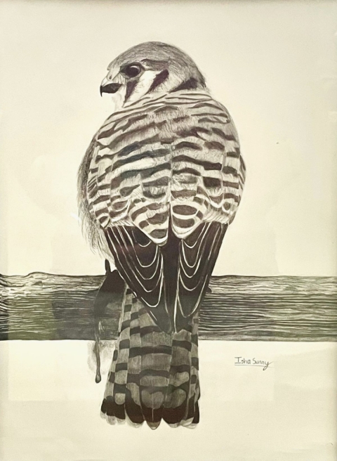 Drawing by Isha Sunny