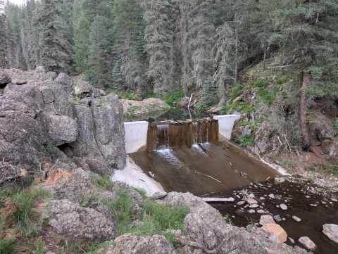 A large concrete dam spans a creek, with water flowing over the top and down a smooth spillway into a rocky section below. The structure is built into bedrock on one bank and into a steep forested section on the other bank. A pine forest surrounds the structure and creek.