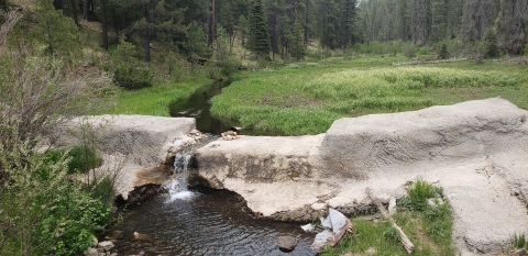 A concrete structure spans a small creek, creating a short drop where water free falls into a shallow pool below. Behind the structure, the creek passes through a small meadow surrounded by pine forest.