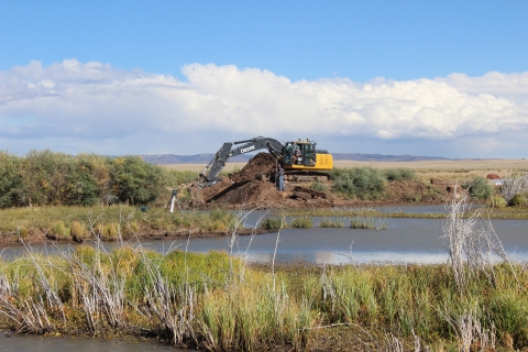 A small pond sits in the foreground, with tall grasses and wetland plants along the water’s edge. In the background, construction equipment is clearing and reshaping the adjacent channel as part of habitat restoration work. 
