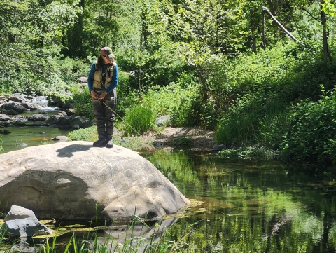 a women stands fishing on a boulder in a slow stream