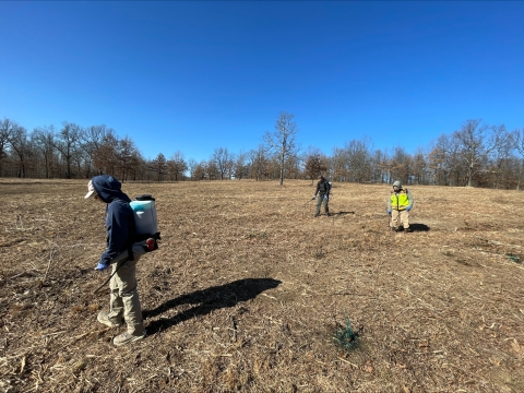 Three people with spray equipment backpacks on walking in a mostly barren field spraying invasive species by hand.