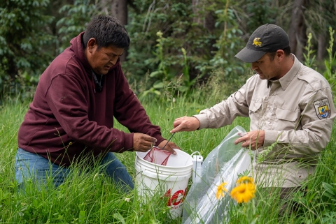 Two men sit in a grassy area next to a bucket full of male brook trout