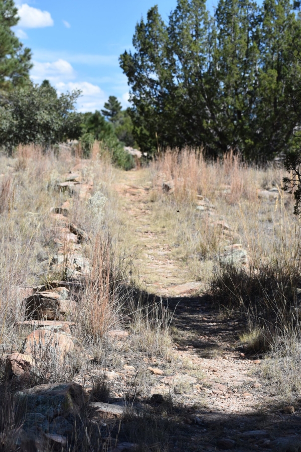 Rocks lining the path of the Gallinas Nature Trail 