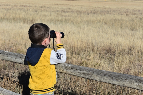 A young boy using binoculars at a refuge fence looking out.