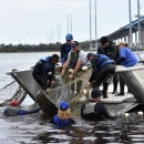 Group of people working to get a manatee into a boat
