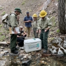 a group of five people stand around a cooler holding frogs next to a stream. One person is holding a frog that will be released into the creek. 