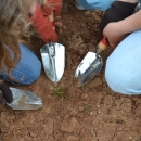 Looking down, three individuals are kneeling down. They are wearing gardening gloves and gardening trowels are pointing towards a small, green plant.