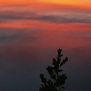 Sunset oranges and yellows at J.N. Ding Darling NWR