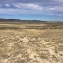 rocky grassy field landscape of Wyoming with wind turbines in the background