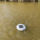 Floating white water quality sensor on surface of brown water Lake Mattamuskeet