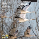 An image of the cover for the refuge brochure.