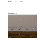 Multi-Species Hunt Plan for Edwin B. Forsythe National Wildlife Refuge