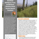 Beat Back Buffelgrass: Trans-jurisdictional, Volunteer-Driven Invasive Species Treatment Case Study Handout