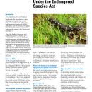 Habitat Conservation Plans Under the Endangered Species Act