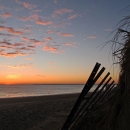 Image of beach horizon at Parker River NWR