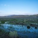 Wetland meadows with hills in the background at dawn. 