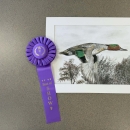 Drawing of a duck with Best of Show ribbon