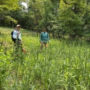 Two people standing in a field of green vegetation with trees in the background