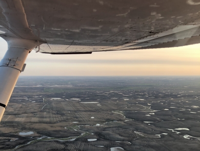 Aerial view of wetlands
