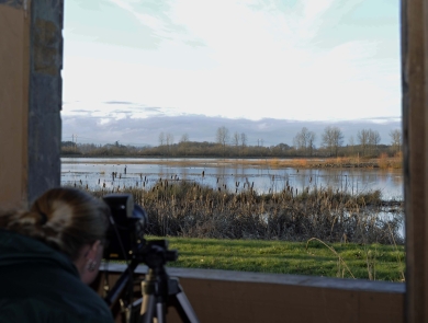 A woman aims her camera at birds through a photography blind at Ankeny National Wildlife Refuge in Oregon.