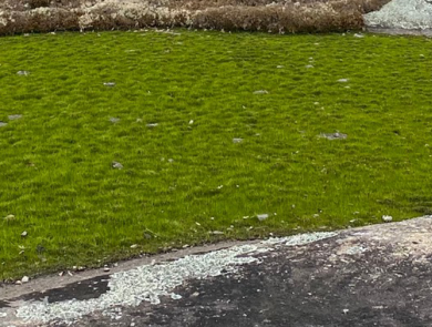 A grass-like pool surrounded by rock.