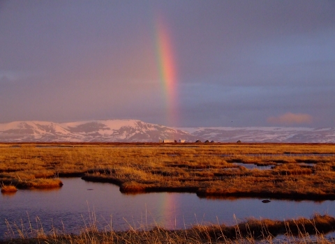 A rainbow over the tundra wetlands in late spring