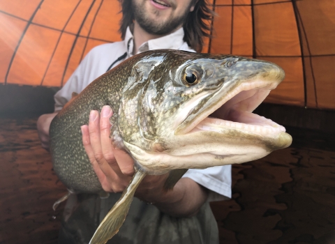 Biological Science Technician Paul Boynton holding an adult Lake Trout
