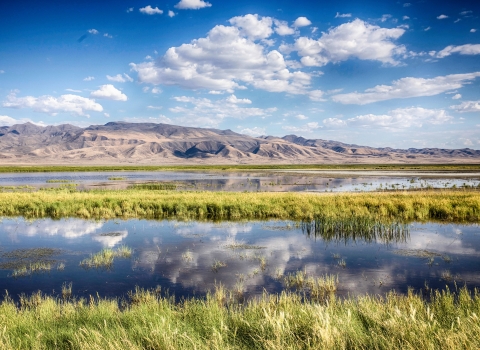 A wetland scene with clouds reflecting in very still water. 